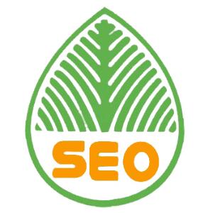 阳江提升网站移动适配的注意事项